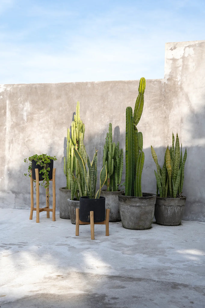 Vaso baixo para plantas a carvão - Preto Natural - S