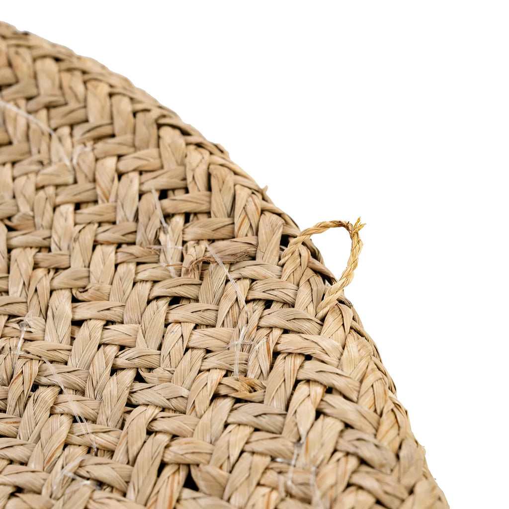 Decoración de Pared de Conchas "Costa" - Blanco Natural - M