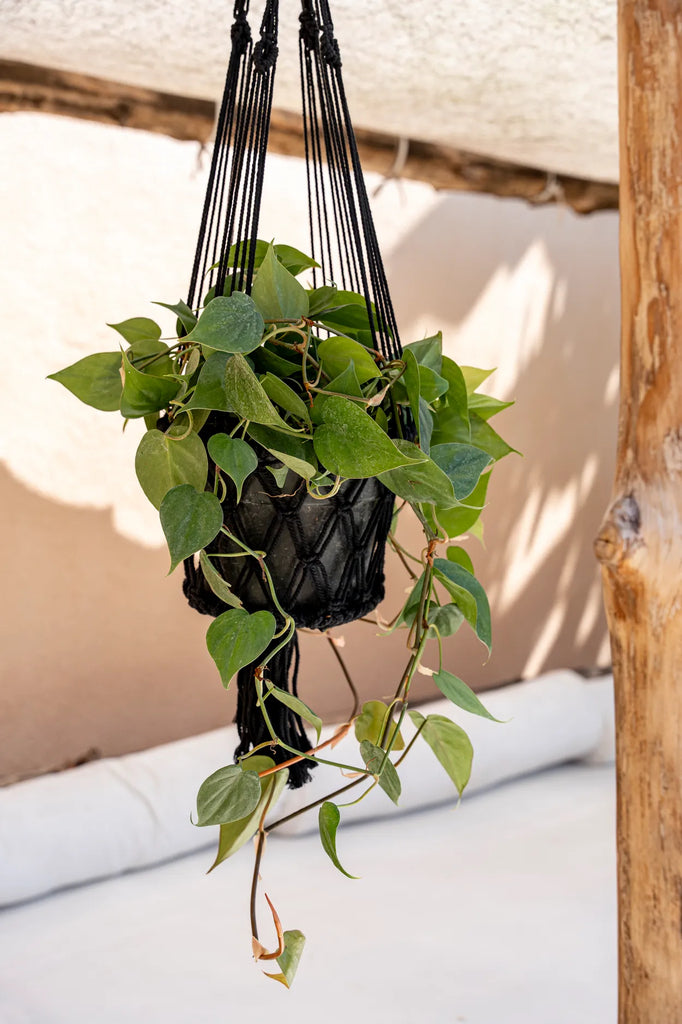 Le porte-plante Macrame - Noir - L