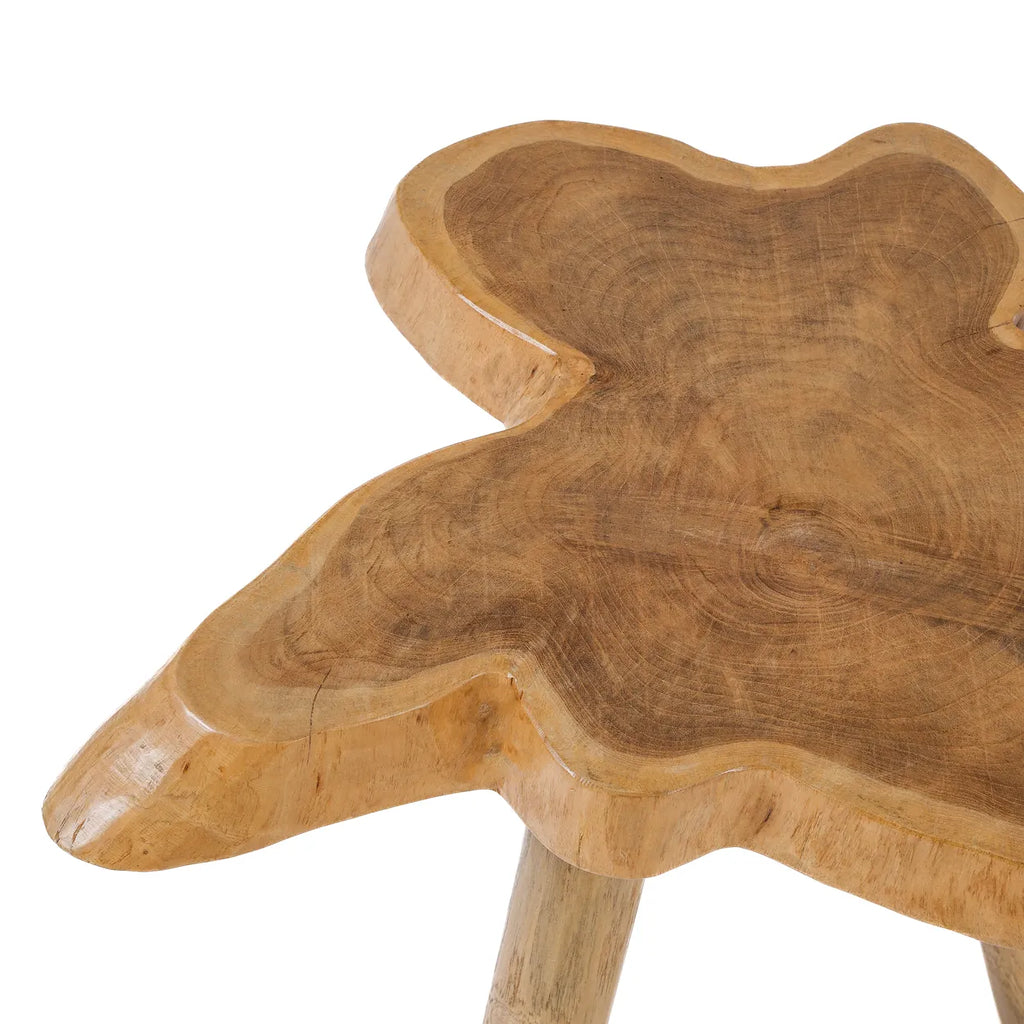 The "Organic" Side Table - Natural
