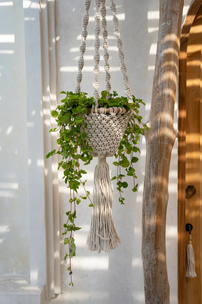 Cesta Colgante de Macramé Entrelazado - Blanco Natural - M