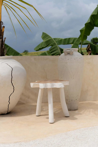 The "Organic" Side Table - Natural White