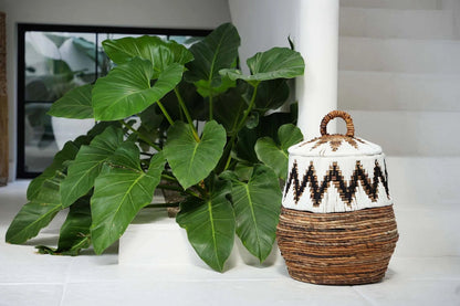 Panier "Little Bay Beach" - Blanc naturel - M