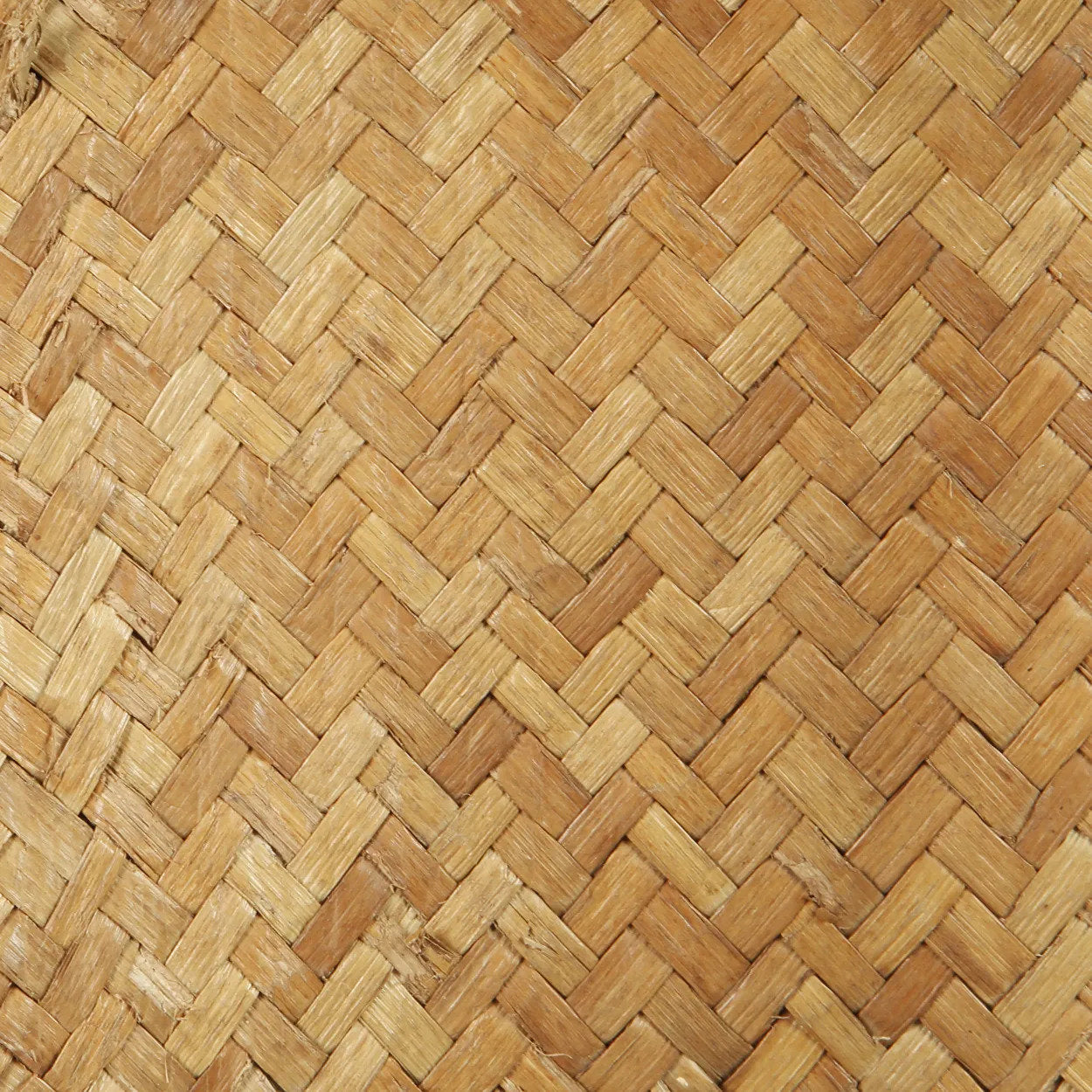 Der Krieger am Stand