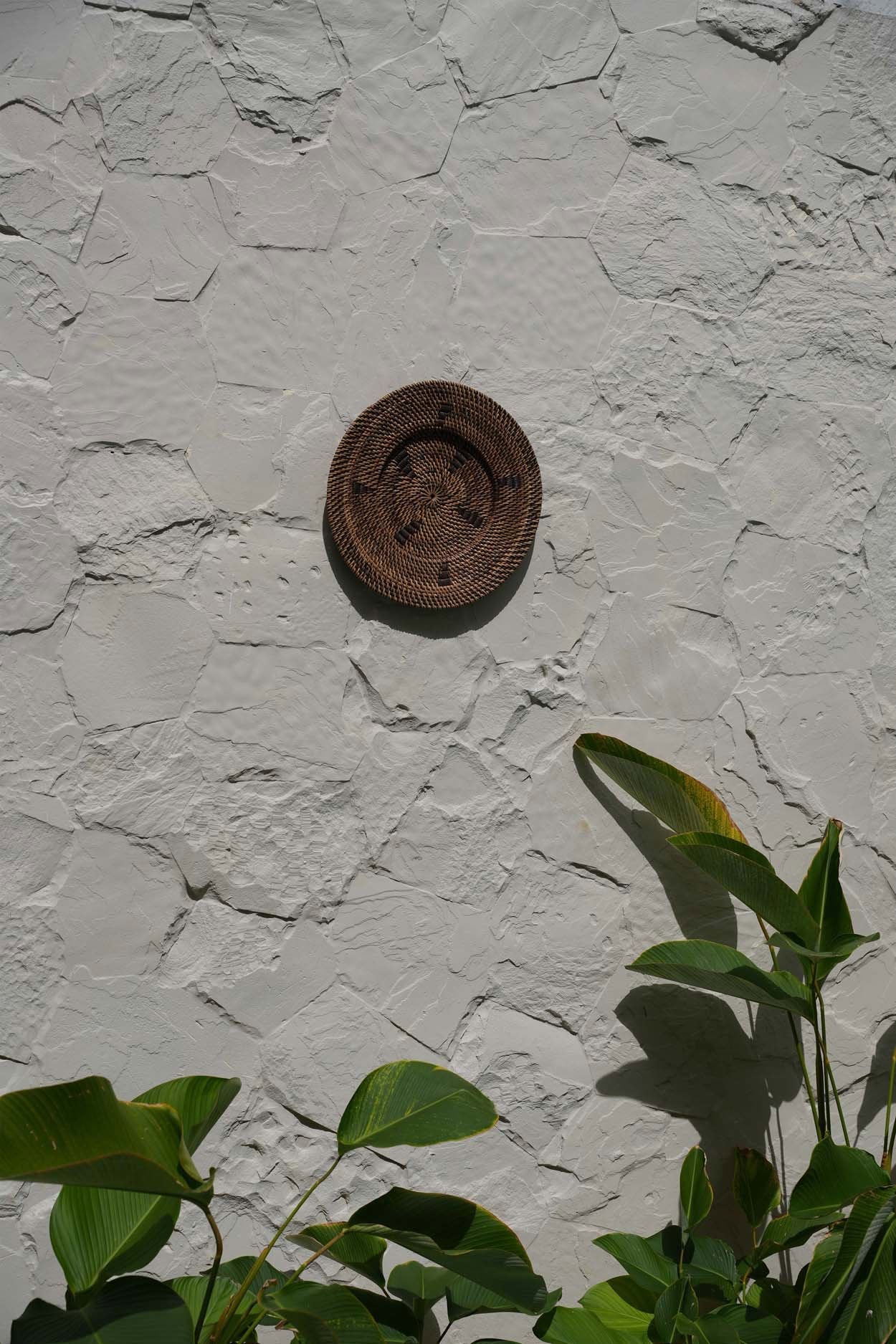 Το πιάτο Jasmine - Καφέ - S