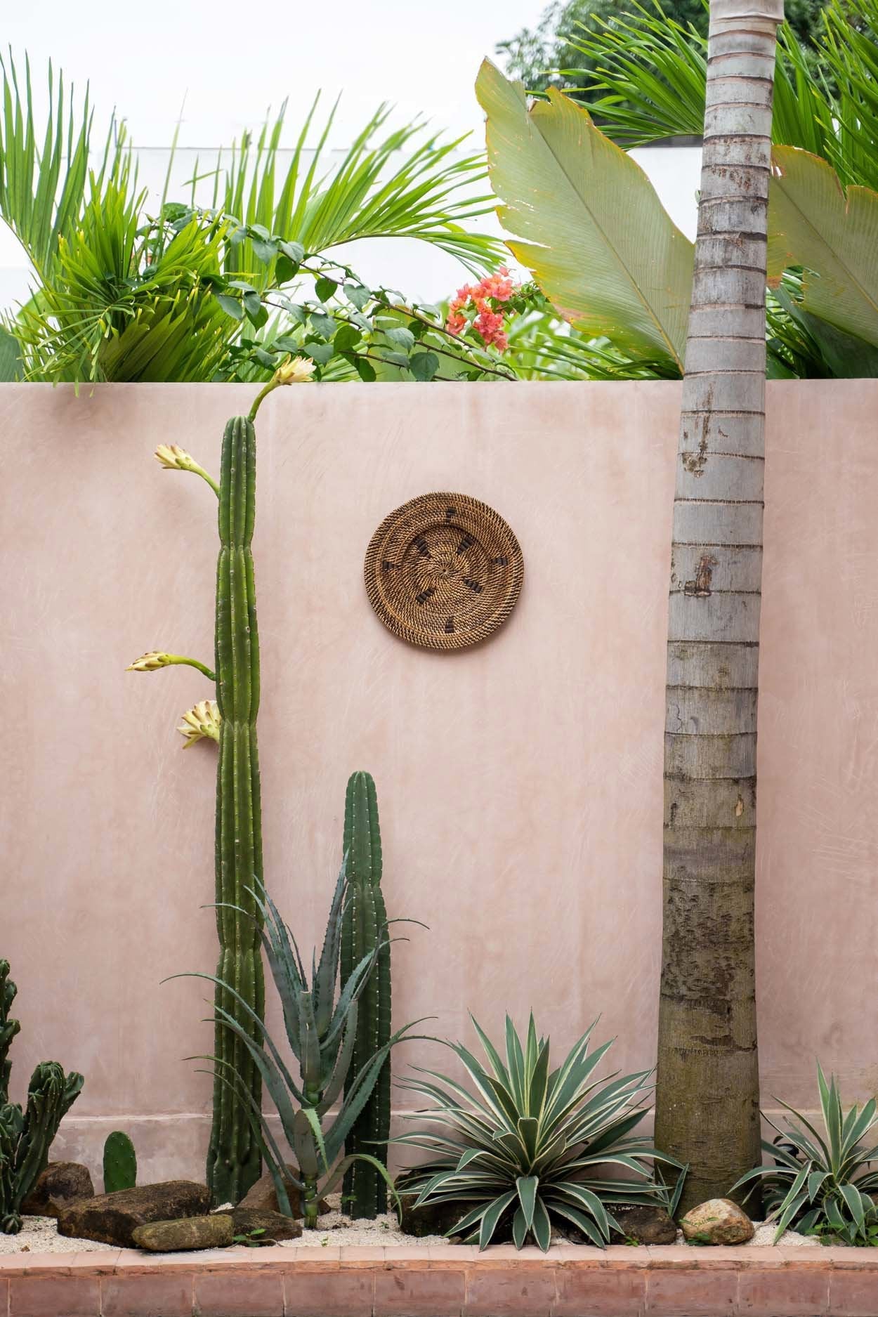 Το πιάτο Jasmine - Καφέ - S