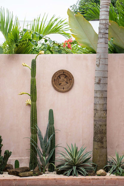 Το πιάτο Jasmine - Καφέ - S