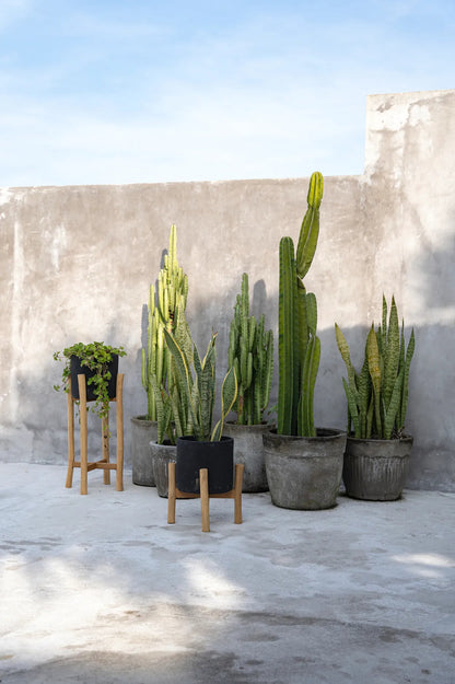 Vaso baixo para plantas a carvão - Preto Natural - S