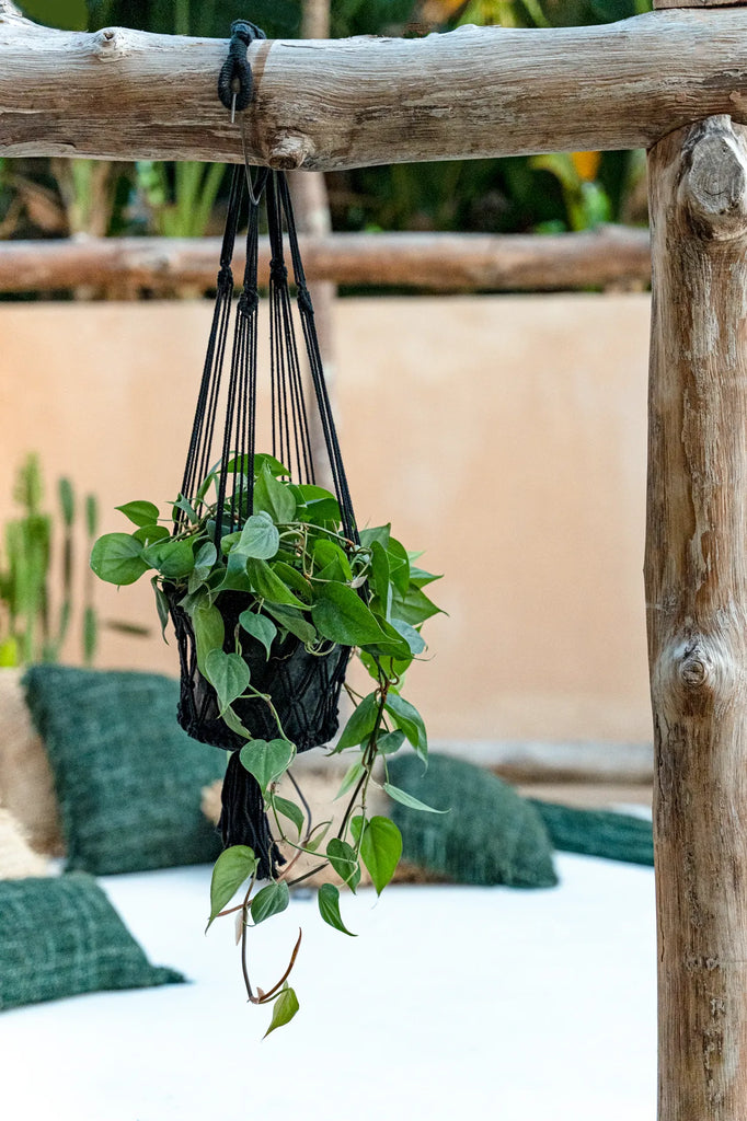 Le cintre Macrame - Noir - S